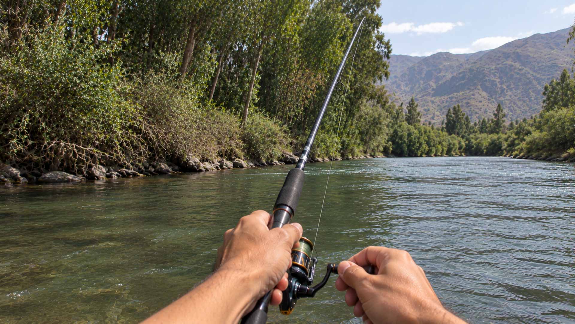 Sport Fishing