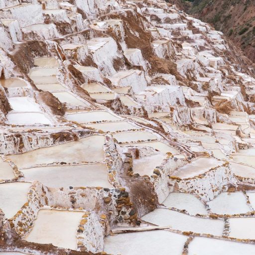 WhatsApp Image 2019-02-16 at 16.17.47