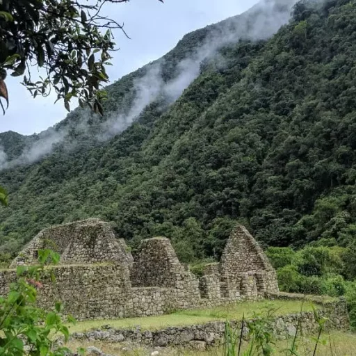 fotoV